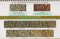精品咖啡豆：SCAA pecialty Coffee精品咖啡生豆的标准