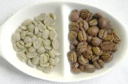 精品咖啡豆：咖啡品种之波旁种（Bourbon Varietal）