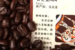 世界精品咖啡豆：肯尼亚AA咖啡豆的详情介绍