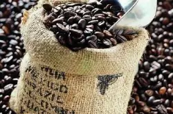 精品咖啡豆：90+精品咖啡介绍 展望未来咖啡世界