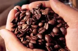CafeMocha也门摩卡咖啡 莫加咖啡 阿拉伯优质咖啡