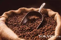 世界咖啡庄园：埃尔萨咖啡庄园 哥斯达黎加咖啡的精品之路