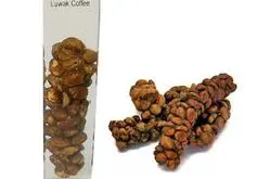 麝香猫咖啡 精品咖啡豆 印尼椰子猫 猫屎咖啡