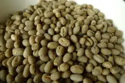 世界精品咖啡：圆豆的知识 它又叫公豆（Peaberry）的介绍