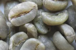 世界精品咖啡豆大分类：阿拉比卡咖啡种类分类介绍