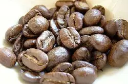 麝香猫咖啡 猫屎咖啡 印尼椰子猫 风味独特 优质的酸度和口味