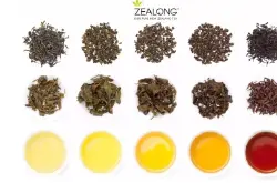 Zealong茶携手新西兰第一咖啡品牌Esquires Coffee掀起饮茶热