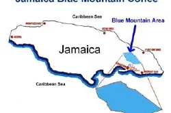 世界著名咖啡庄园介绍：牙买加克利夫顿庄园蓝山一号烘焙风味