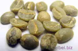世界精品咖啡豆介绍：云南小粒咖啡 Bourbon 波邦AA级 生豆