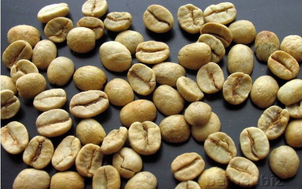 世界精品咖啡豆介绍：巴西山多士咖啡生豆Brazil Santos Coffee