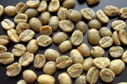 世界精品咖啡豆介绍：肯尼亚咖啡生豆 Kenya AA green bean