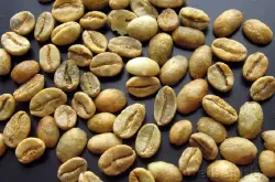 世界精品咖啡豆介绍;埃塞俄比亚（衣索比亚）摩卡咖啡生豆
