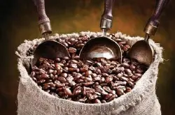 世界咖啡精品庄园：South africa 南非产区纳塔尔（Natal）