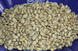 世界精品咖啡豆：衣索比匹 咖法 森林 G2 水洗 Arabica的介绍