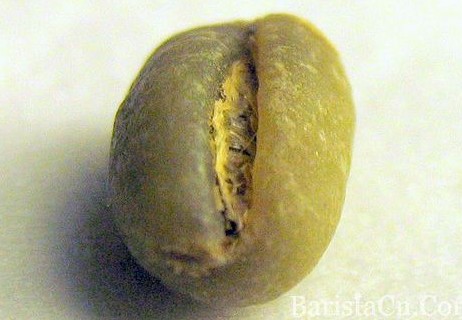 世界精品咖啡庄园牙买加咖啡豆：蓝山园豆Mavis bank Peaberry