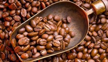 精品咖啡豆 古巴咖啡 古巴水晶山咖啡 最新咖啡资讯 风味独特
