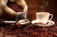 精品咖啡豆 阿里山玛翡咖啡 最新咖啡介绍及资讯