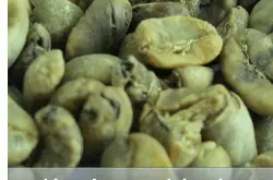 亚洲咖啡庄园印尼产区苏拉威西Sulawesia托拿加Toraja咖啡豆