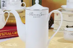 欧美式骨瓷咖啡壶手冲壶家用创意咖啡壶  感受热力物理学的奥秘