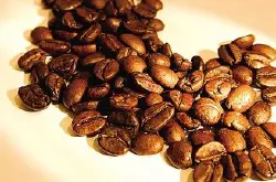 美洲产区多米尼亚共和国咖啡豆 具有清新淡雅酸度极佳的特征
