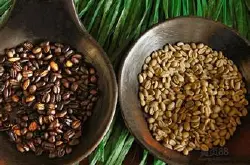 埃塞俄比亚咖啡 精品咖啡 最新咖啡介绍 耶加雪菲咖啡豆