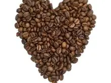 美洲产区瓜尔瓦多咖啡豆 口感均衡清爽拥有一种独特的香味的特征