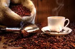 阿里山玛翡 精品咖啡豆 阿里山咖啡 玛翡咖啡 最新咖啡资讯