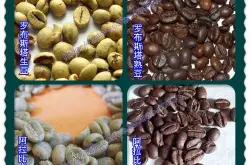 浅谈阿拉比卡咖啡与罗布斯塔咖啡之差别 好豆子与坏豆子的区别