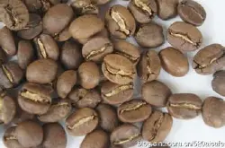 非洲产区津巴布韦咖啡豆 具有口感柔滑爽，带有馥郁果香风味特征