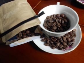 精品咖啡豆 埃塞俄比亚耶加雪菲咖啡 最新介绍