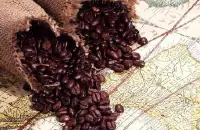 美洲庄园夏威夷咖啡豆 具有浓郁芳香、酸度均衡适当的风味特征