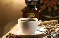 哥斯达黎加咖啡 精品咖啡豆 最新咖啡风味介绍 口感十足