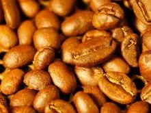 非洲咖啡产区日晒西达摩G1咖啡豆 红樱桃计划（OCR）的详细介绍