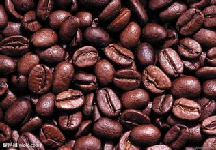 精品咖啡豆 肯尼亚咖啡 最新咖啡介绍 精品咖啡庄园