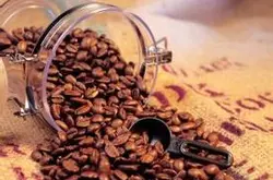 精品咖啡豆 巴西咖啡 巴西咖啡品种介绍 风味独特 口感十足