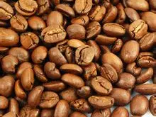 美洲咖啡庄园豆 巴西产区圣多斯咖啡豆 具有香怡柔和特色的特征