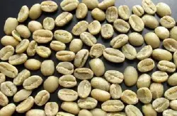 非洲咖啡庄园 埃塞俄比亚产区摩卡哈拉尔咖啡豆 独有水果香气
