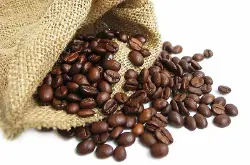 非洲咖啡庄园 肯尼亚产区AA级咖啡豆 略带葡萄酒香气的风味特征
