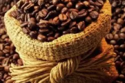 美洲哥伦比亚绿宝石庄园咖啡豆 风味蕴含着豪华香气与浓郁质感