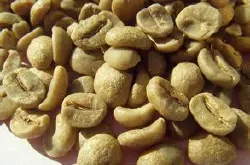美洲咖啡庄园哥伦比亚咖啡豆 EP 10% PREMIUM特级咖啡生豆介绍