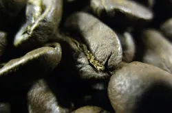 日本烧炭精品咖啡豆烘焙程度 什么是烧炭咖啡 烧炭咖啡怎么喝？
