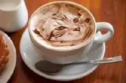做出一杯逼格十足的花式咖啡 不一样的咖啡器具做出特色意式咖啡