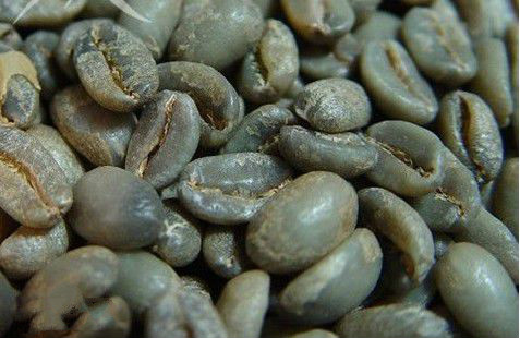 咖啡生豆储存在仓库里所需要的条件是什么？如何储存咖啡生豆？