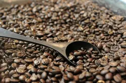 精品咖啡豆生产地美属波多黎各详细介绍 波多黎各的咖啡故事