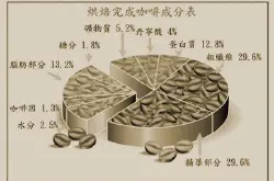解剖咖啡 咖啡果实的结构图 了解咖啡豆子的成分含量及结构构造