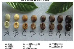 咖啡豆烘焙理论 咖啡豆的烘焙程度所产生的风味特征 咖啡豆颜色