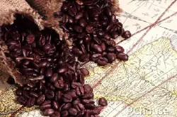 咖啡豆的好处与坏处的分析与讲解