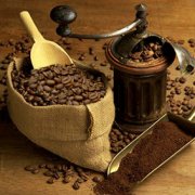 世界最昂贵的咖啡—猫屎咖啡的由来