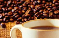 最传统的阿拉伯咖啡品种——阿拉比卡种 阿拉伯的阿拉比卡种咖啡