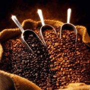 耶加雪啡英文 单品咖啡 埃塞尔比亚西达摩咖啡 耶加雪啡的烘焙